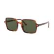 Ray-Ban RB1973 954/31